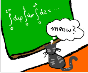 Simple Math With Cat